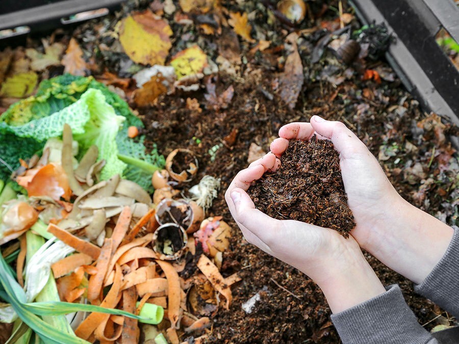 ASCOVADA COMPOST